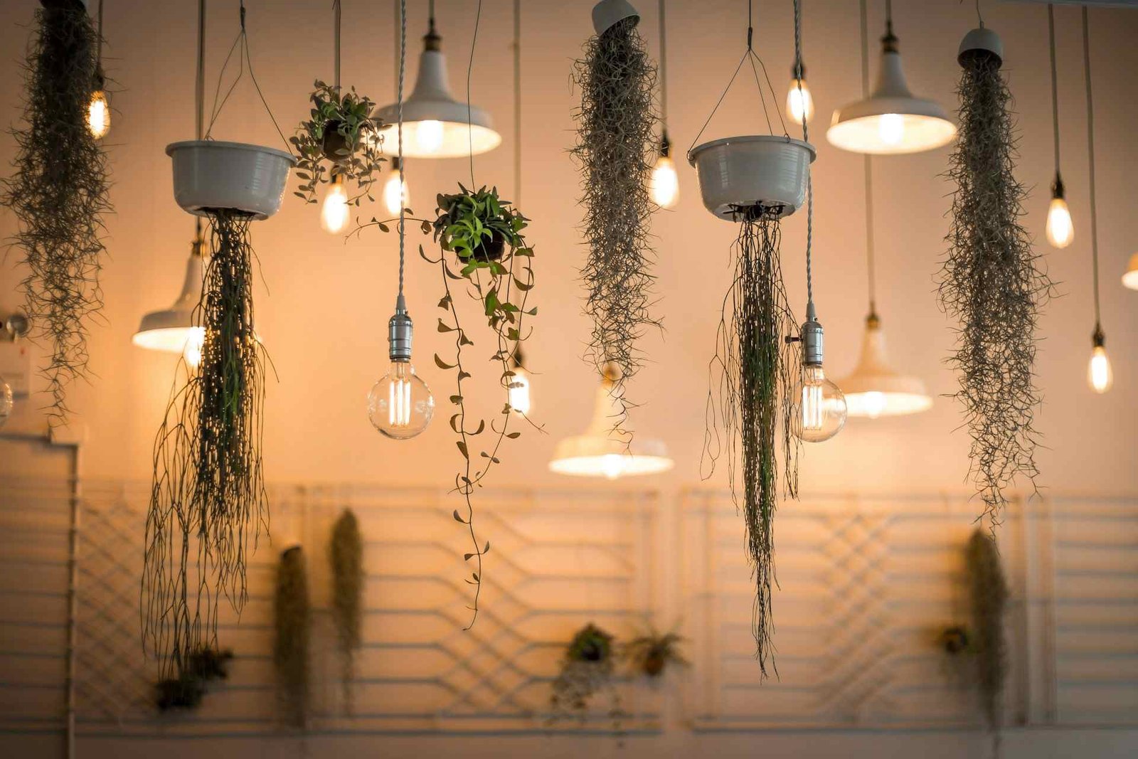 An assorted pendant LED lamp lot with some vines between.