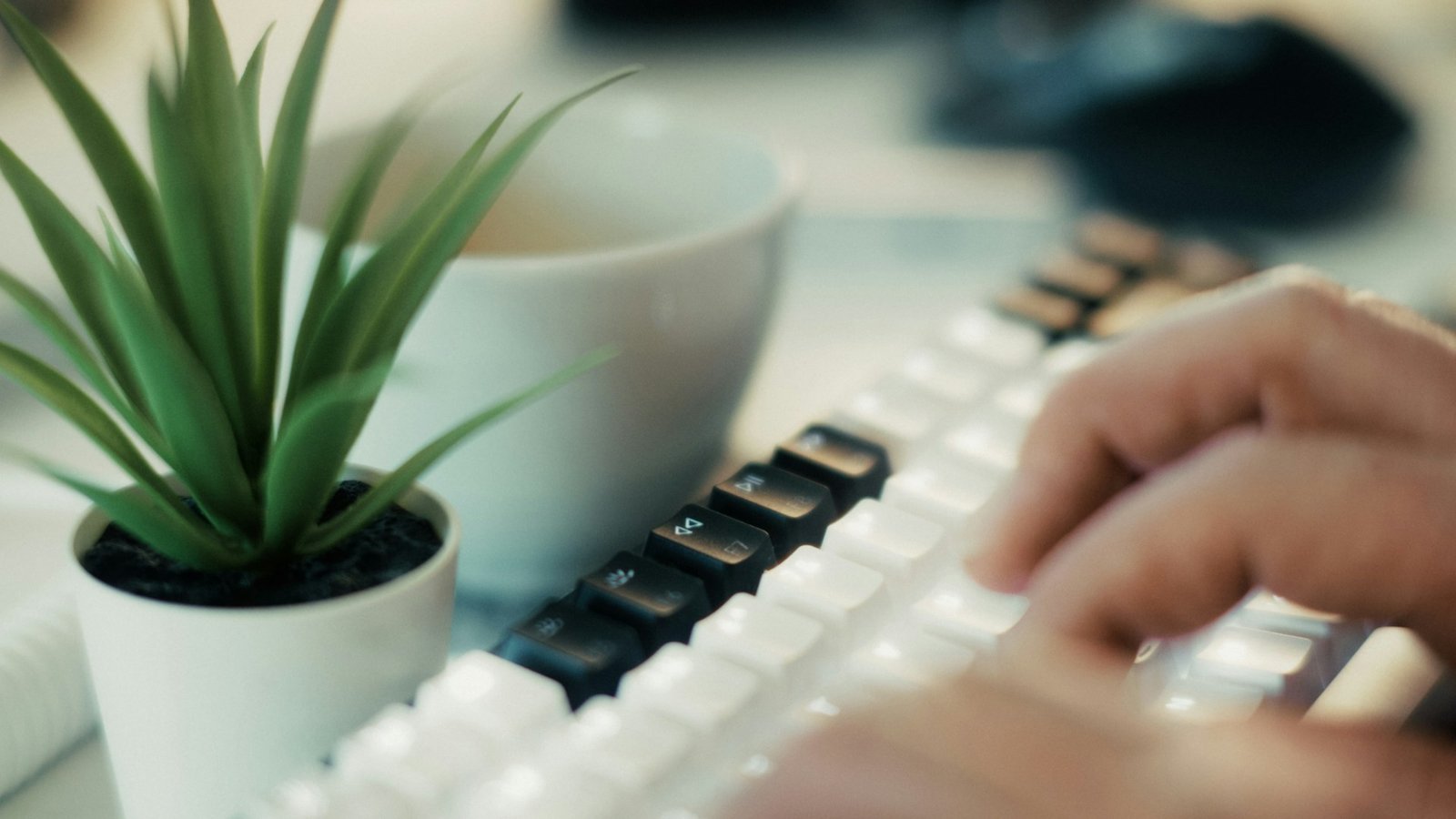 A person typing on a white and black mechanical keyboard next to a small potted plant and a cup.