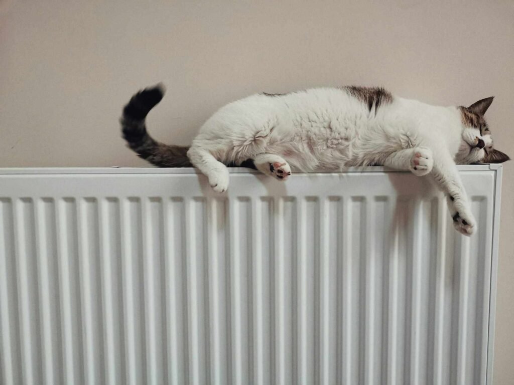 A white and black cat sleeping on a radiator.