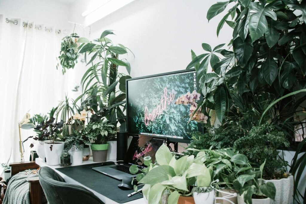 A home office setup with one monitor and many plants standing around it.